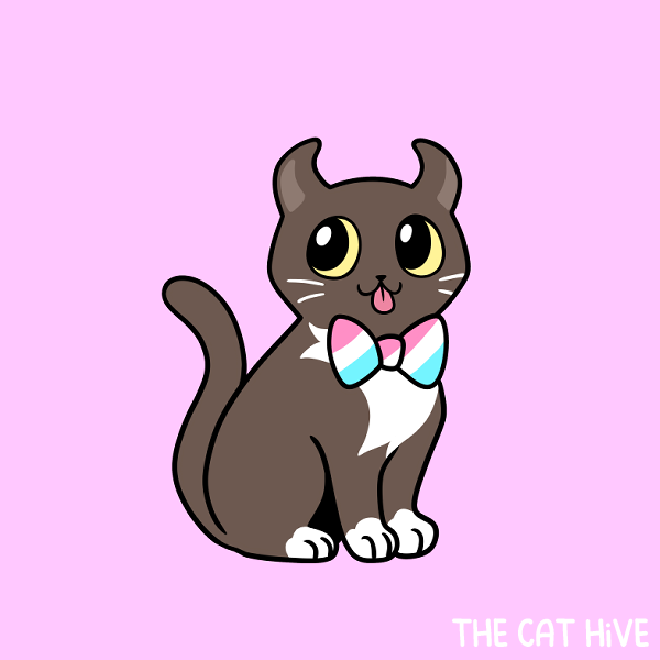 PREORDER - Meevin & Meatball Pin and Sticker Collection